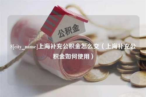 鄢陵上海补充公积金怎么交（上海补充公积金如何使用）