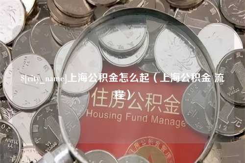 鄢陵上海公积金怎么起（上海公积金 流程）